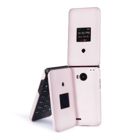 נרתיק עבור Fig Flip 2